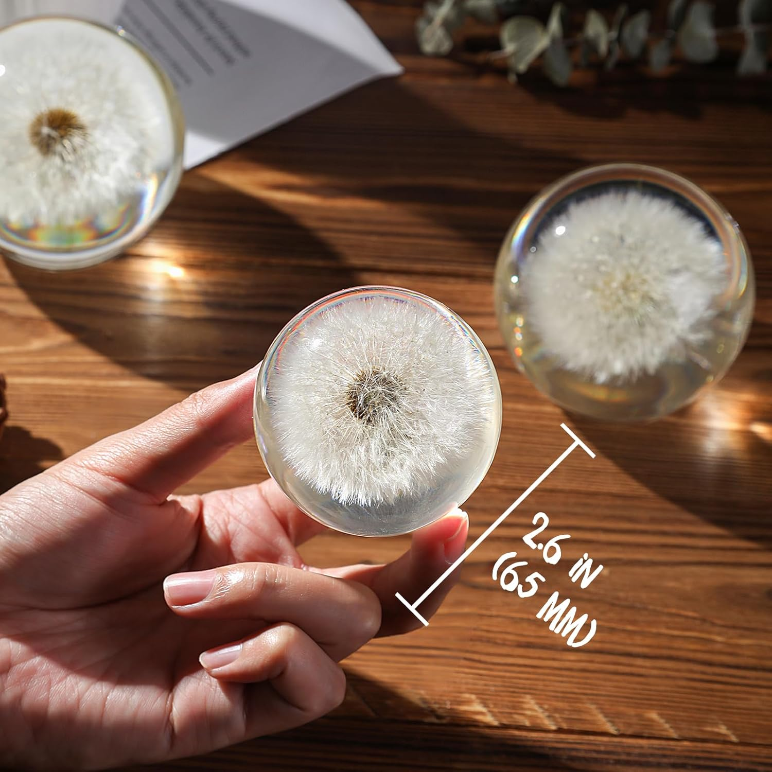 Dandelion Paperweight in Crystal Glass &ndash; Real Preserved Dandelion, Symbol of Hope, Luck, or New Beginnings &ndash; Elegant Gift with Gift Box & Card (Dandelion, 65 Mm) image number 2