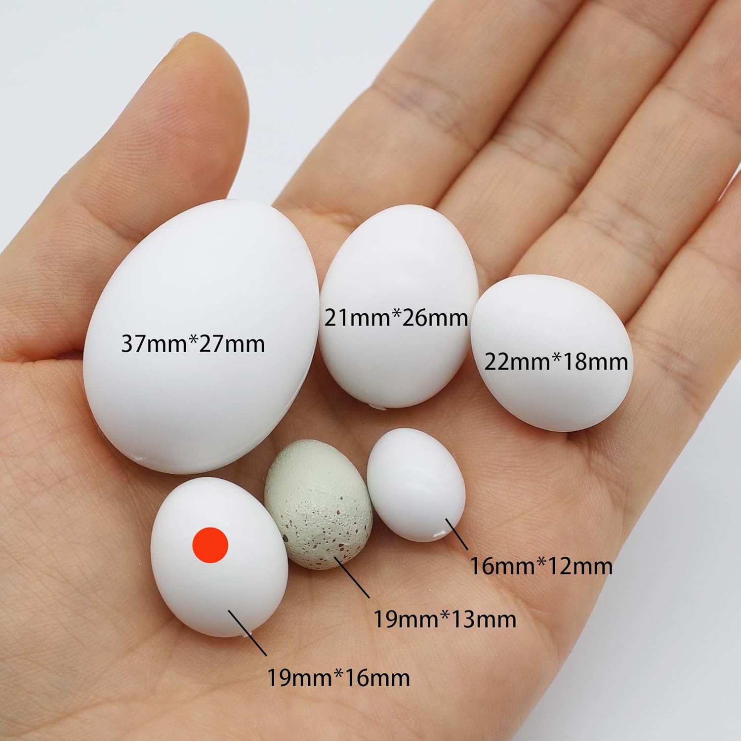 FOIBURELY 8 Pcs Solid Parrot Plastic Eggs Hatching Eggs Parrotlet，Budgie Parakeet，Diamond Dove Trick the Birds to Stop Laying Eggs, Fake Eggs（19Mm*16Mm） image number 3