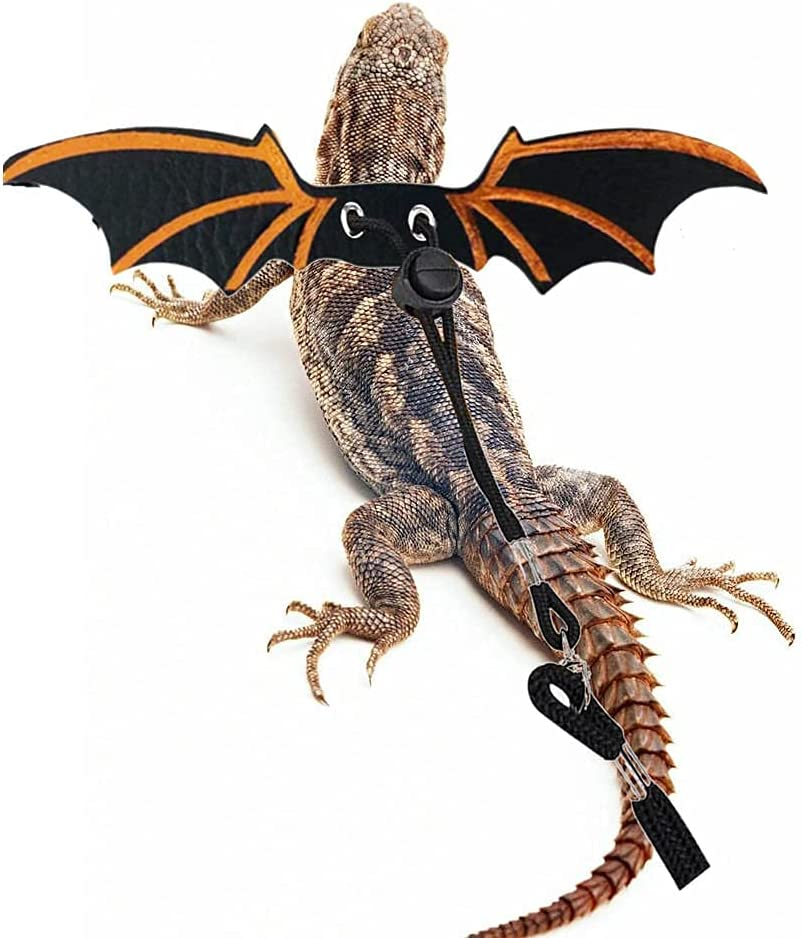 Lizards Leash Bearded Dragon Adjustable Small Reptile Animals Harness 3 Size Soft Leather Harness Lizards Leash with Wing for Small Medium and Large Reptile Animals (Black) image number 5
