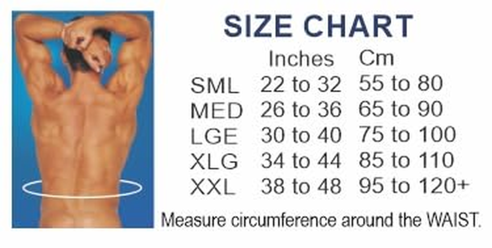 Activease by Dick Wicks Magnetic Back Support Belt, Deluxe Lower Back Brace, Beige (XXL) image number 4