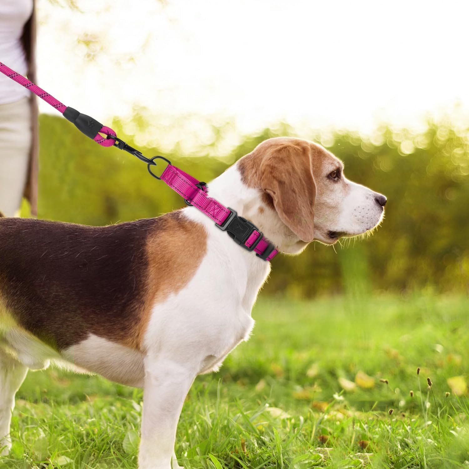 Padded Martingale Collar for Dogs | Neoprene Martingale Dog Collars | Reflective Nylon Martingale Collar | Adjustable Dog Martingale for Small Medium and Large Dogs image number 7