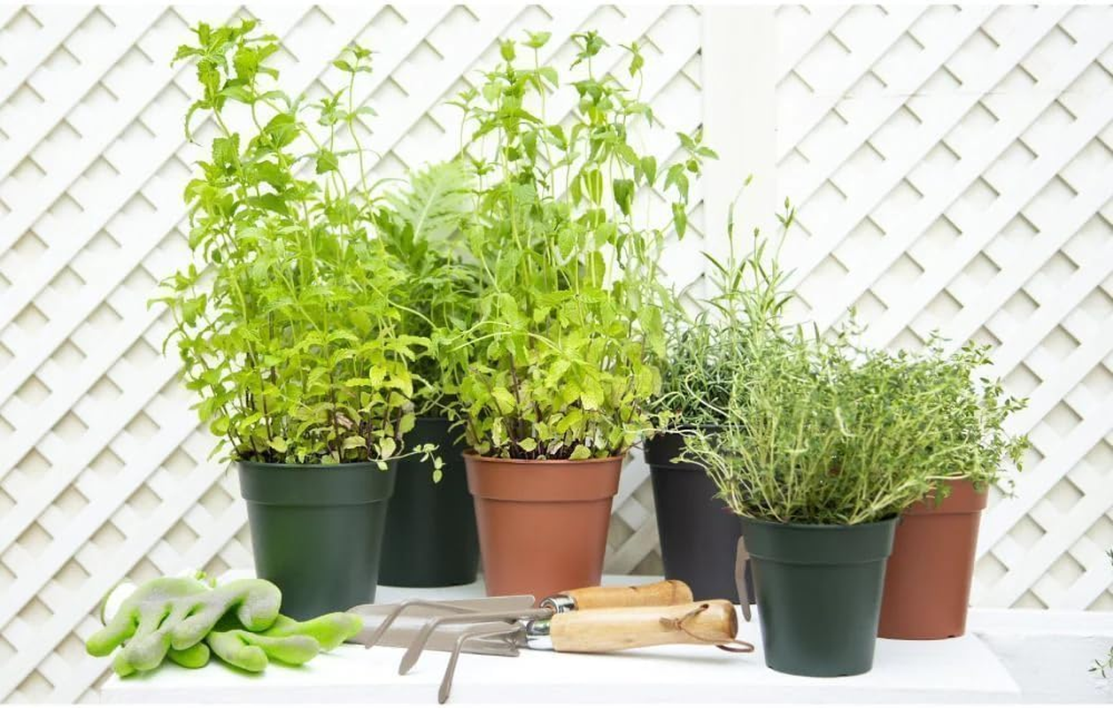 Artevasi Madagascar Pot, Anthracite, 27 Cm