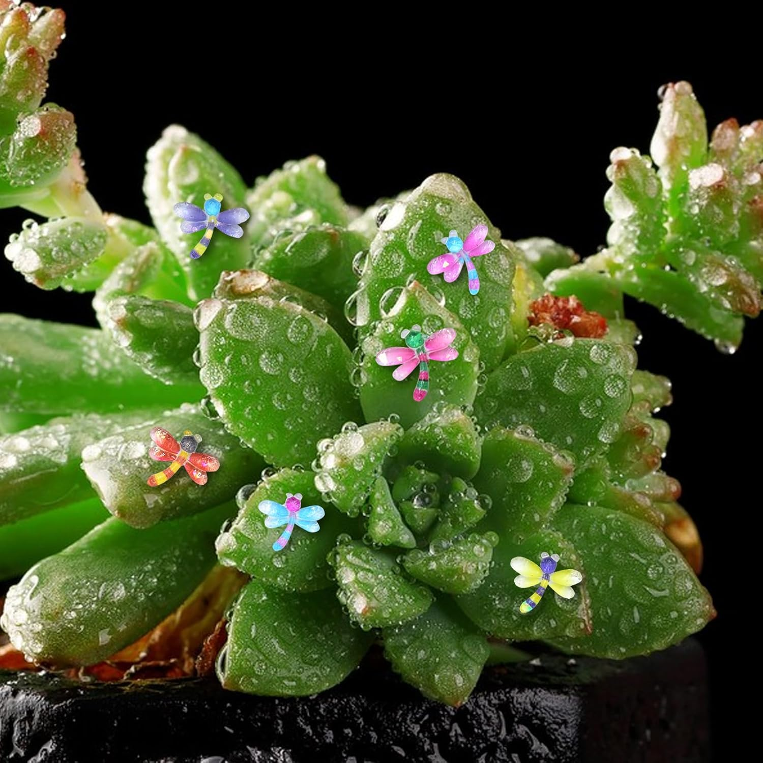 50PCS Mini Dragonfly for Crafts Dollhouse Miniature Resin Tiny Dragonflies for Fairy Garden Dollhouse Micro Landscaping Decoration image number 6