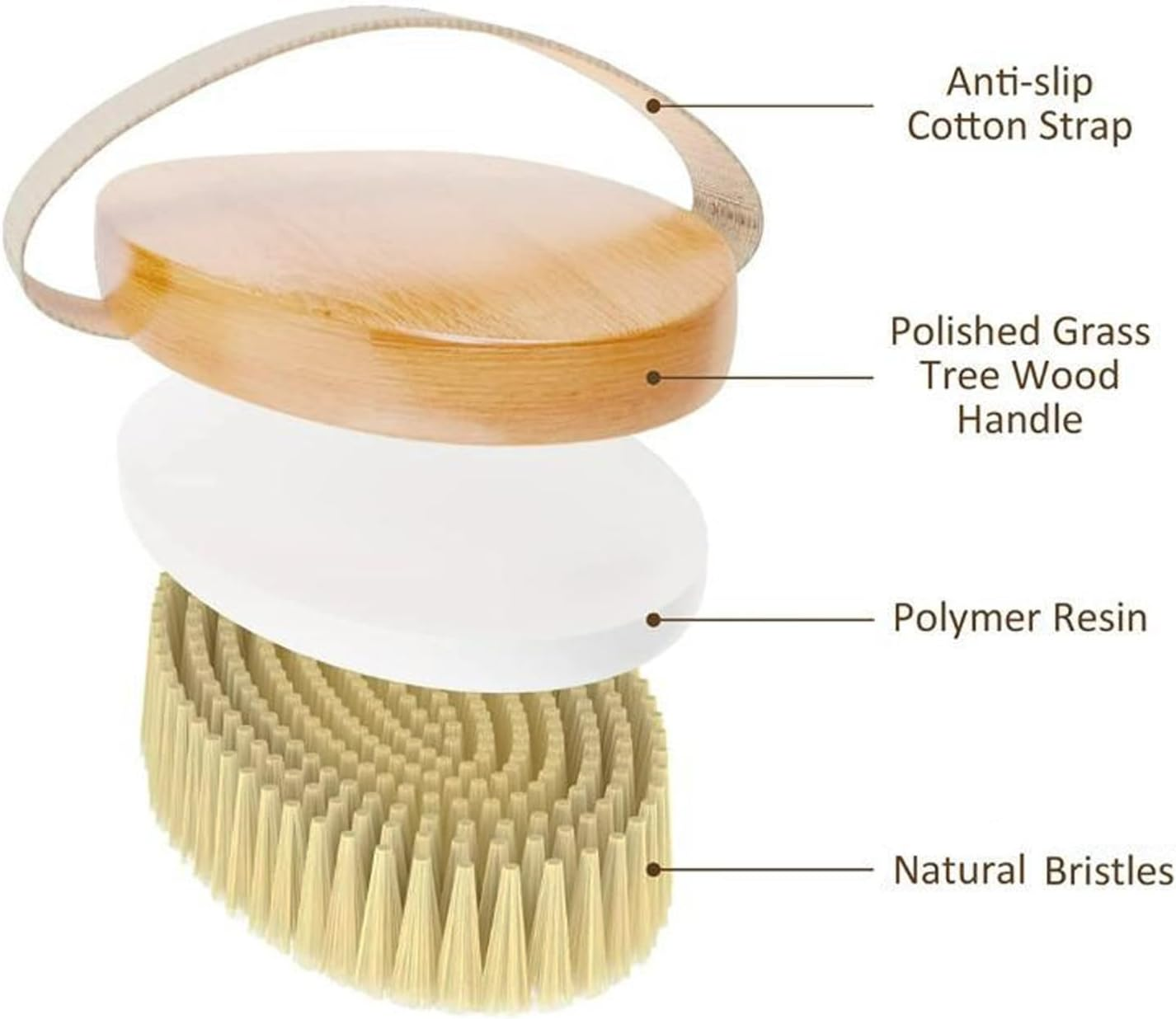 ROLUHOEL 2 Pack Dry Brushing Body Brush,Exfoliating Magic,Blood Circulation Boosting Brush,Helps Reduce Cellulite and Acne,Deep Cleansing Skin Care