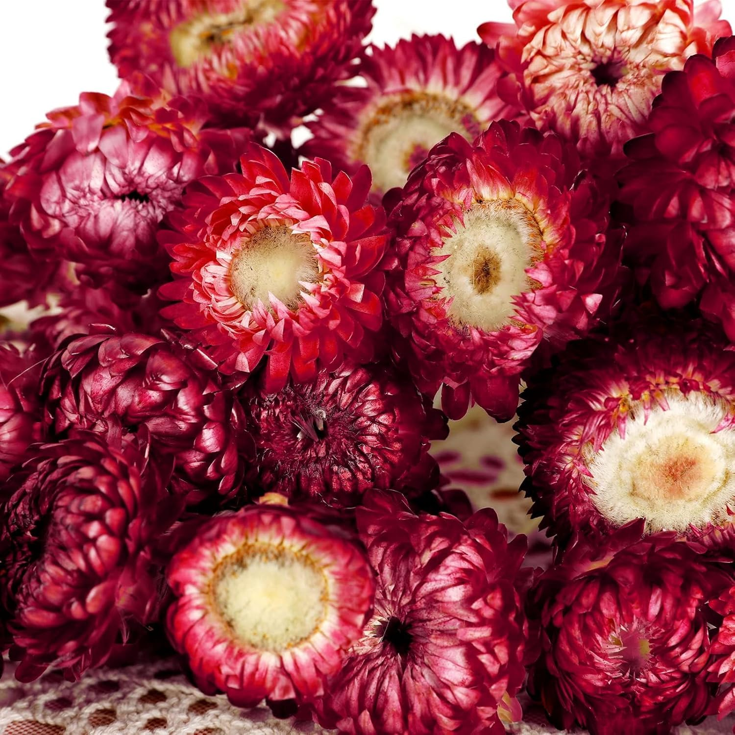 MIHUAGE Dried Flower 40PCS Daisy Bouquet 100% Natural Chrysanthemum Dry Flower with Stem for Vase Home D&eacute;cor Party DIY Arrangement Wheat Straw Bulk (Burgundy) image number 2