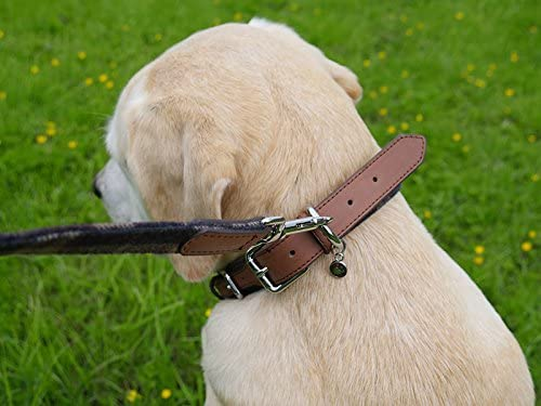Rosewood Luxury Leather Tweed Check Dog Collar, Medium image number 1