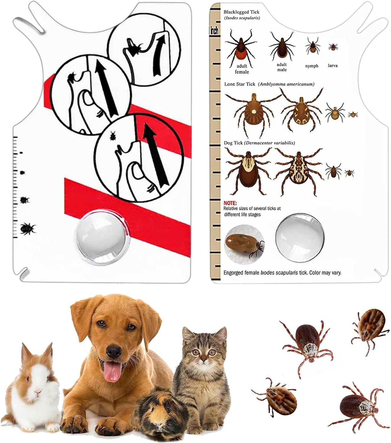 JCUQGDOO Tick Card for Human, Dog, Cat, Pack of 2 Tick Cards Children with Magnifying Glass, Quick Cleaning of Ticks, Tick Card for People, Children, Dogs, Cats image number 1