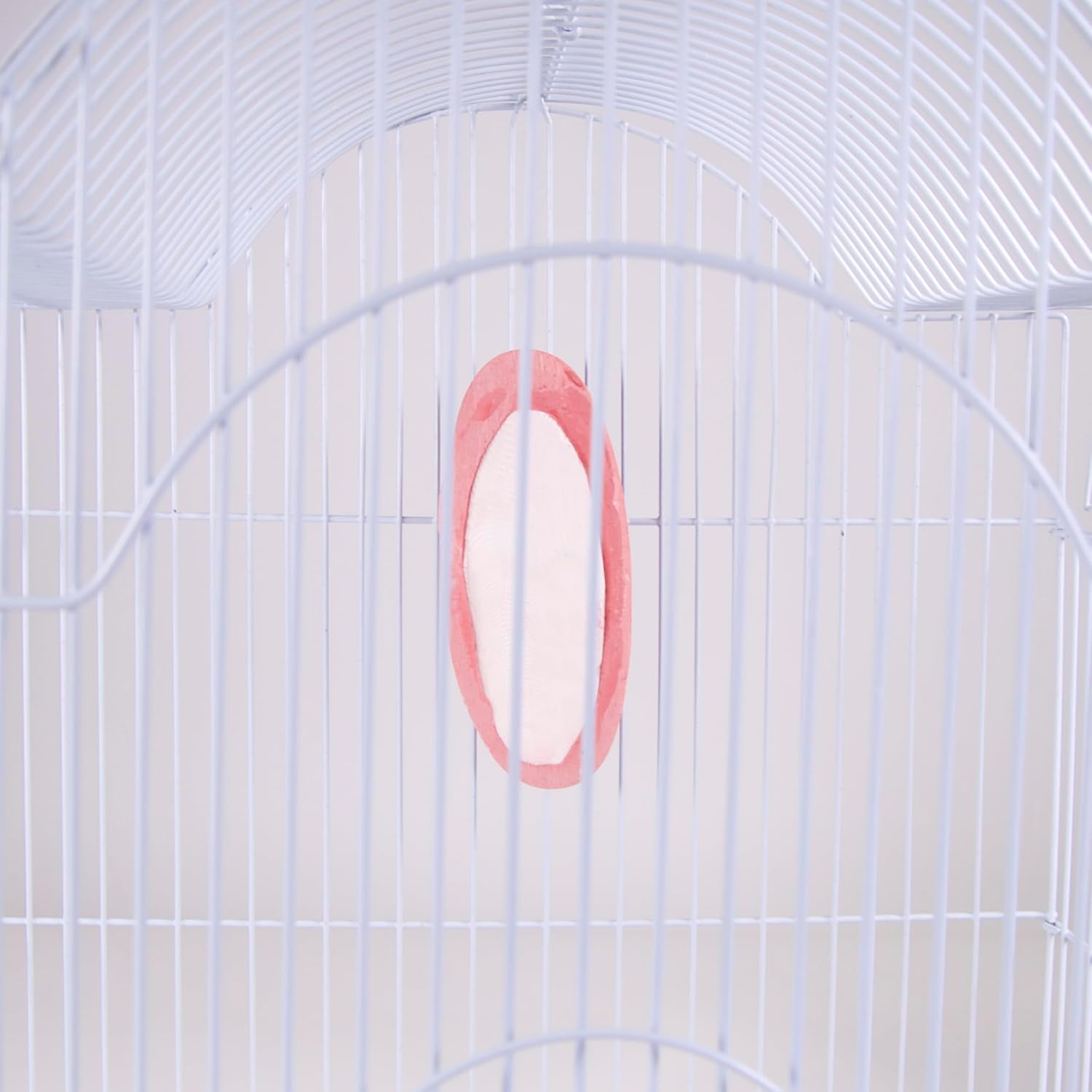 Penn Plax Bird Life E2 Berry Flavored 2-In-1 Cuttlebone/Mineral Block Treat