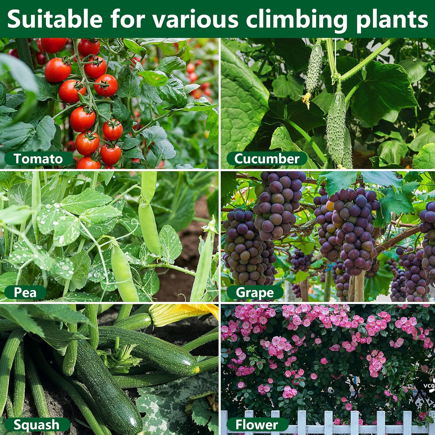 Codree 2 Packs Garden Cucumber Trellis for Plant- 47 X 47 Inch Metal Arch Melon Trellis for Raised Bed- Foldable Tunnel Trellis with Climbing Net Clips for Growing Vine Vegetable - 2Pcs-47X47Inch image number 2