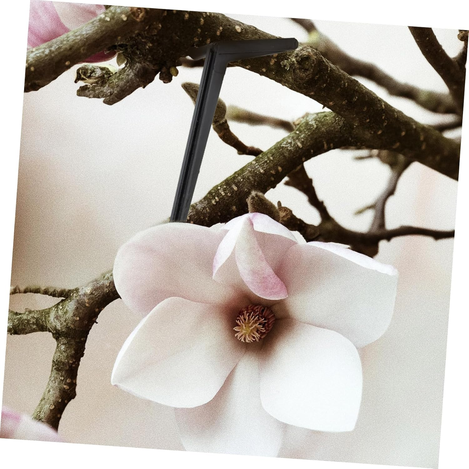 INOOMP 100Pcs Gardening Tool Plant Branches Clips Bending Clamps Fixing Tools for Fruit Trees Indoor Outdoor image number 3