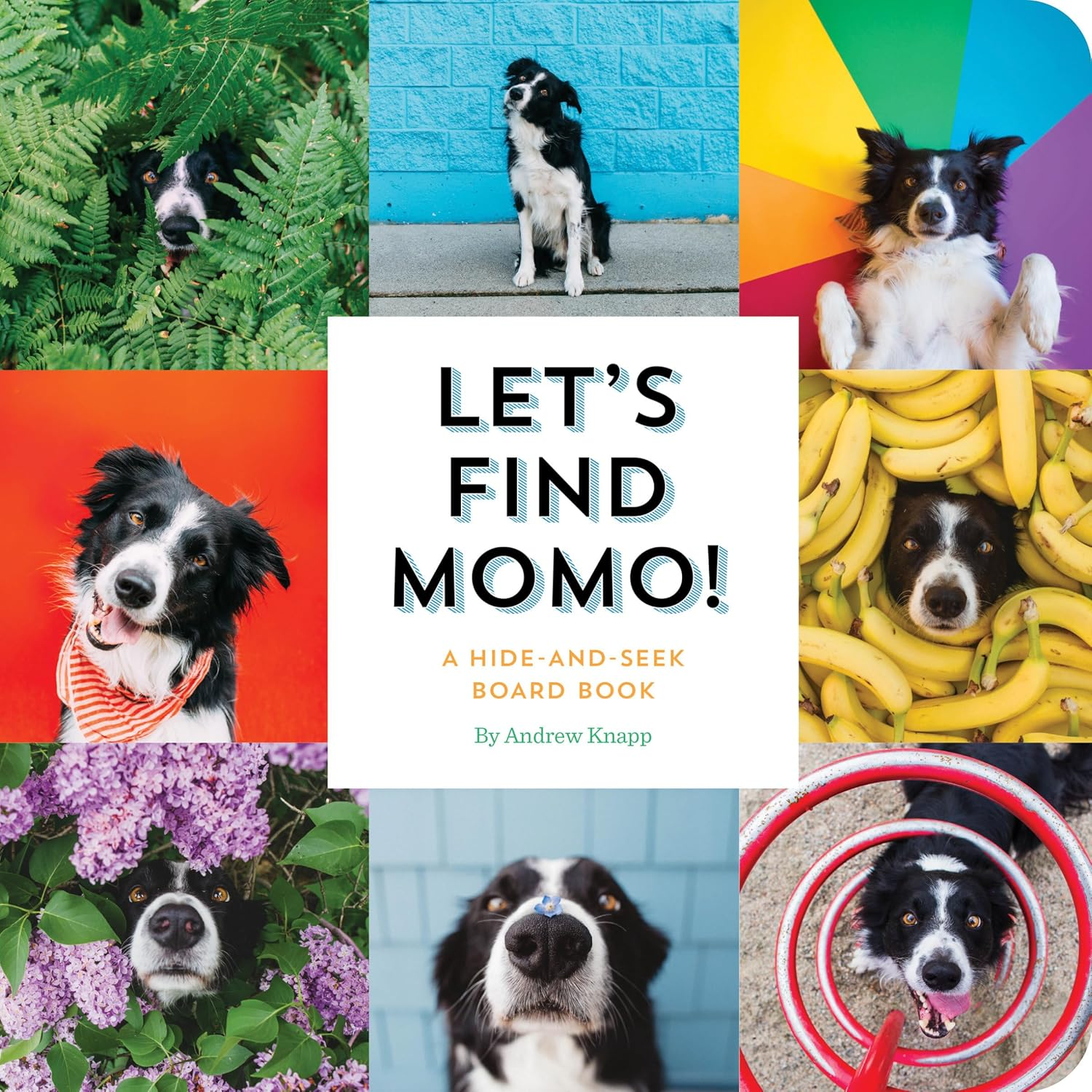 Let'S Find Momo!: a Hide-And-Seek Board Book: 3