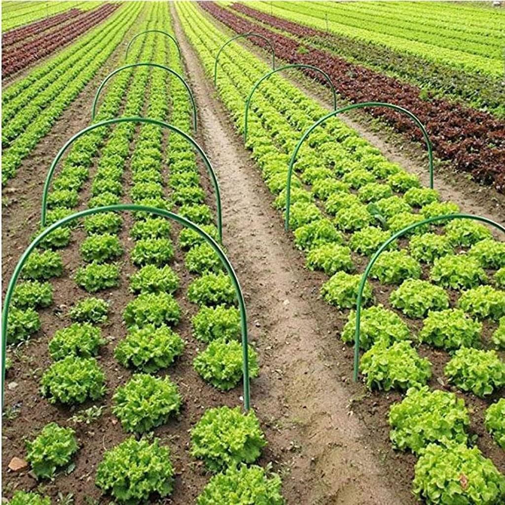 6/12PCS Greenhouse Gardening Planting Tunnel Hoop Support Hoops Plant Holder Tools, for Garden Agricultural Greenhouse Supplies (Size : 12PCS 3.2Mm) image number 4