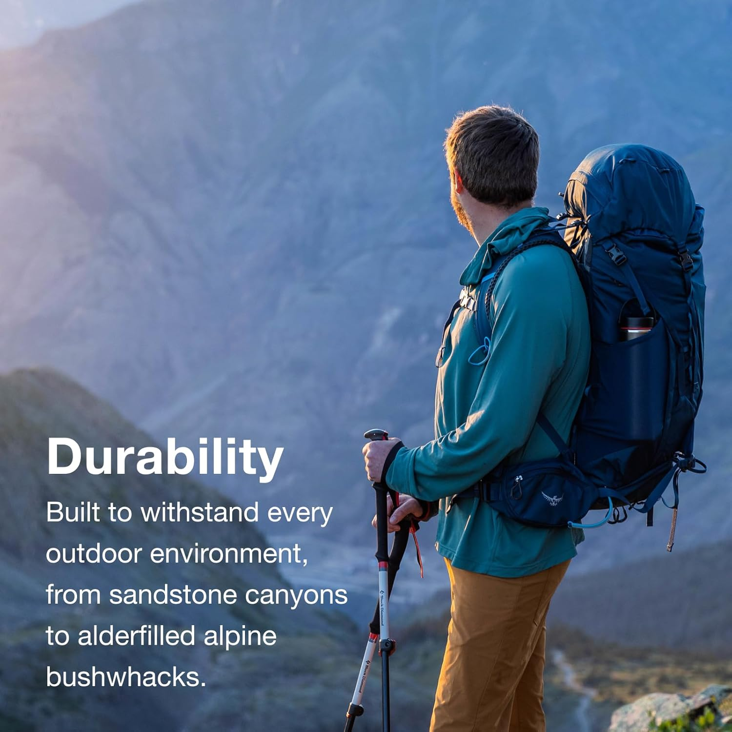 Kestrel Kestrel image number 4