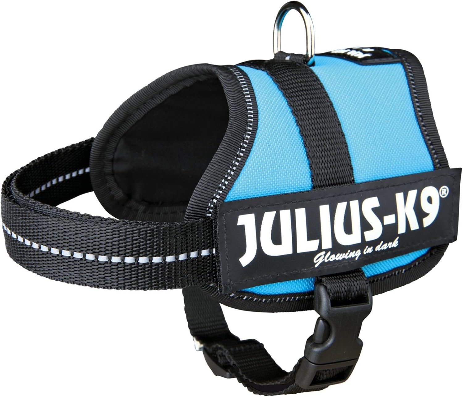 Julius-K9, 162 W, ​​K9-Power Dishes, Aquamarine, 0, Green-Blue image number 5