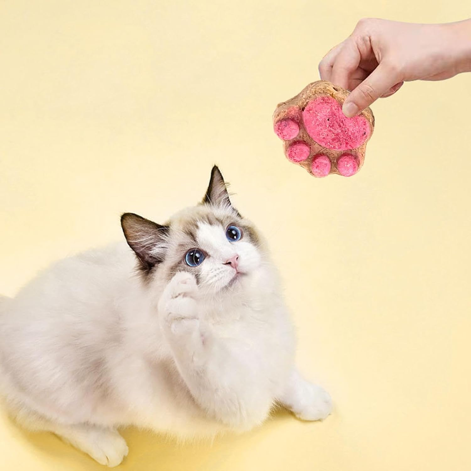 Cat Paw Snacks - Natural Healthy Cat Snacks Treats | Kittens Foods Treat | Snacks Paw Biscuits | Healthy Treats | Shape Food | Biscuits Dry for All Breeds image number 6