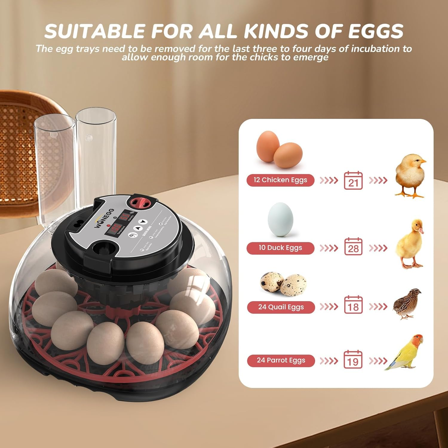 12 Egg Incubator for Hatching Chicken/Quail/Duck Eggs, Auto Turning, Digital Humidity/Temp Control, LED Candler, Auto Water Refill, 360&deg; View (Smart Sensor) image number 5