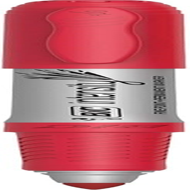 BIC Mark-It Permanent Marker, Fine Point, Red, 12 Markers, GPM11-RED - 12 Count (Pack Of 1), Red image number 1