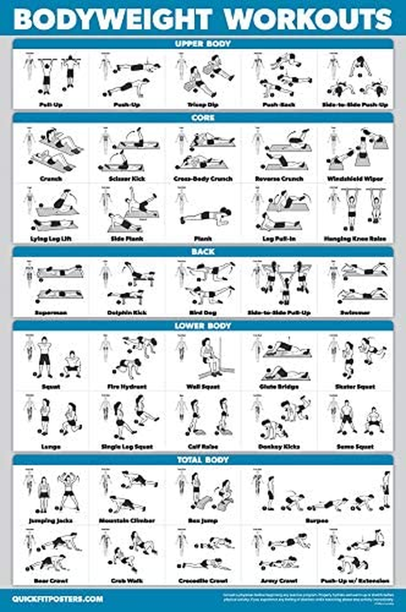 11 Pack - Exercise Poster Set: Dumbbell, Suspension, Kettlebell, Resistance Bands, Stretching, Bodyweight, Barbell, Yoga, Exercise Ball, Muscular System, Medicine Ball (Laminated, 18" X 24") image number 1