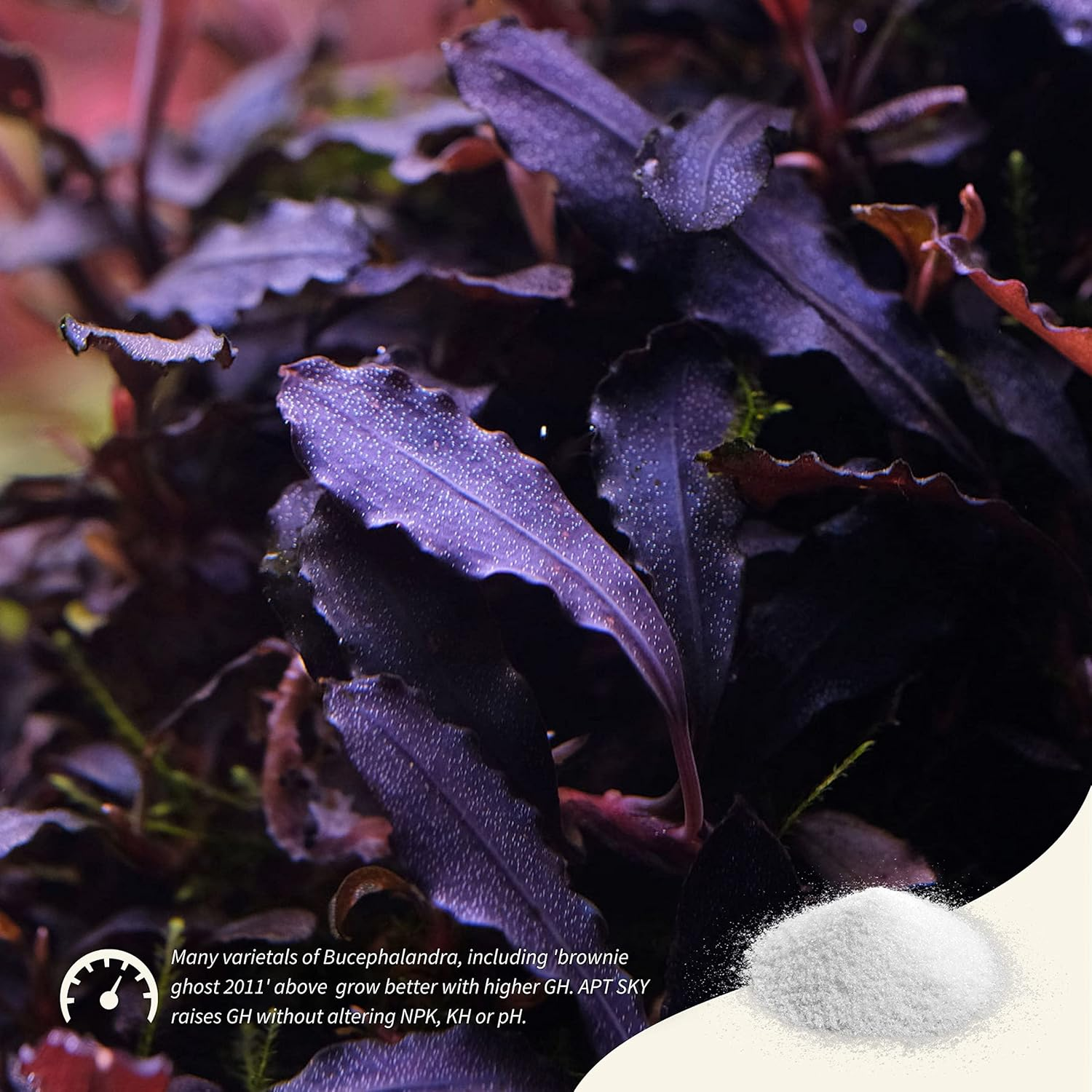 THE 2HR AQUARIST APT Sky GH Booster Aquarium + Shrimp Mineral (800G) image number 5