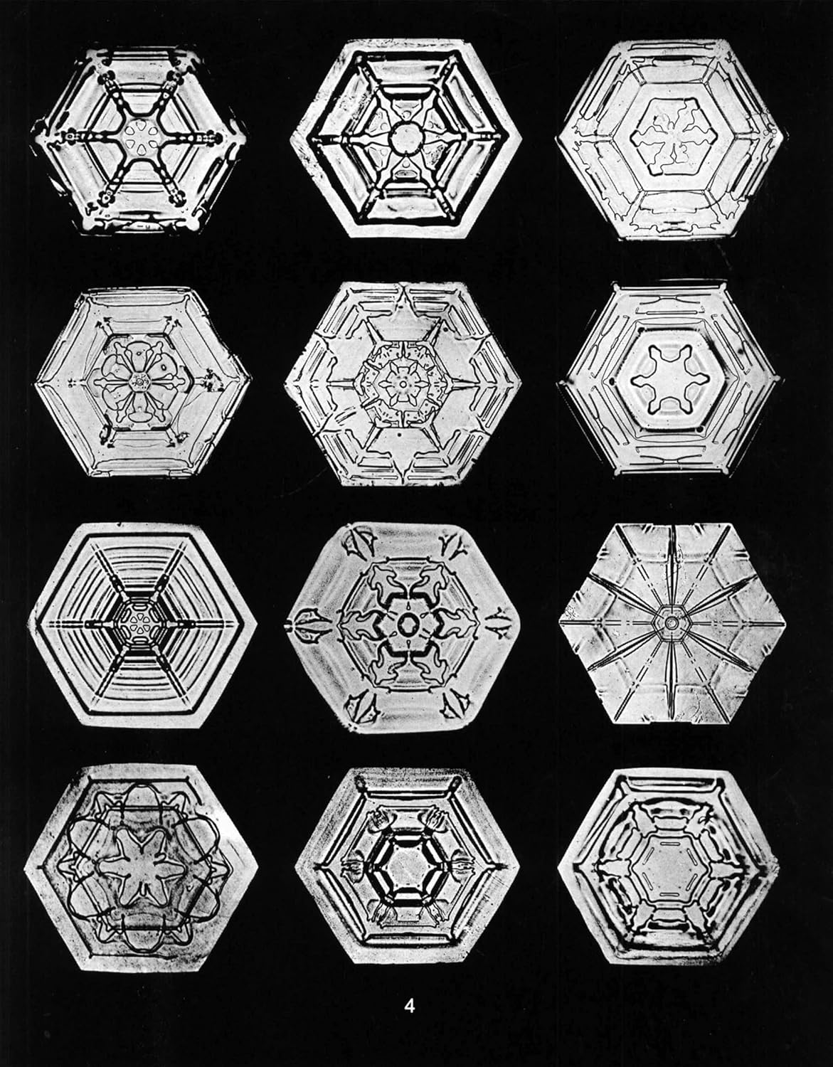 Snowflakes in Photographs image number 5