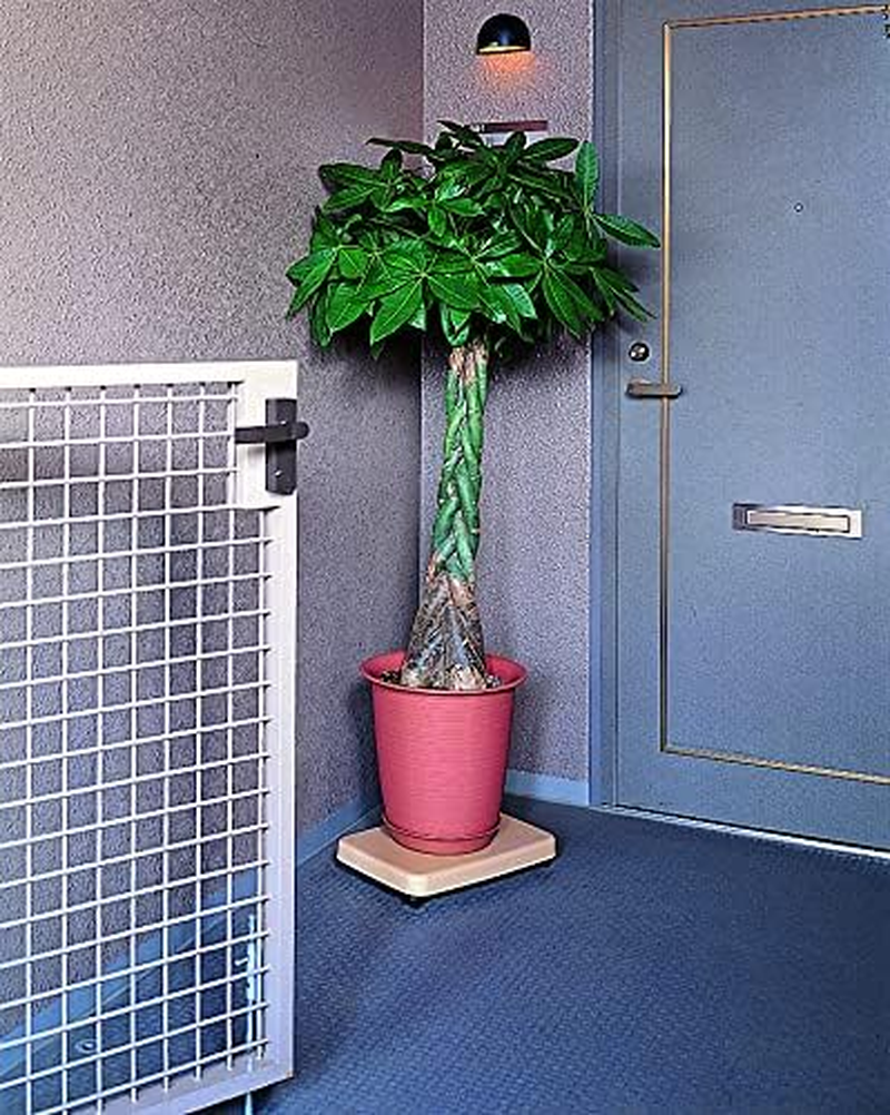 (Sankoplastic) Sanko Plastic Trolley Rakugoro L White W 16.2 X D 11.2 X H 2.7 Inches (W 41.2 X D 28.2 X H 6.8 Cm), Made in Japan with Non-Slip Seal, Indoor Dolly with Stopper Casters image number 3