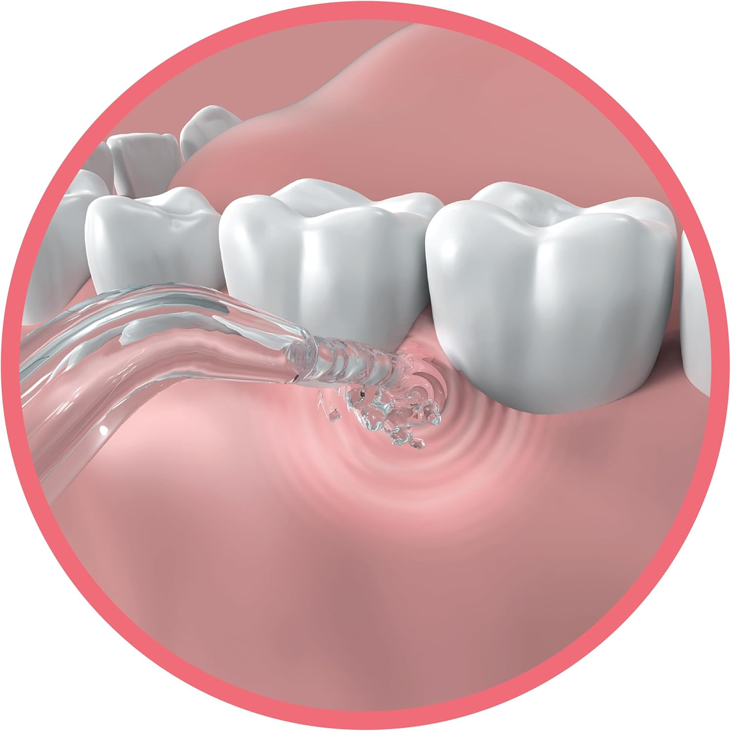 GO2 Dentagenie Water Flosser Replacement Nozzle Family Pk image number 5