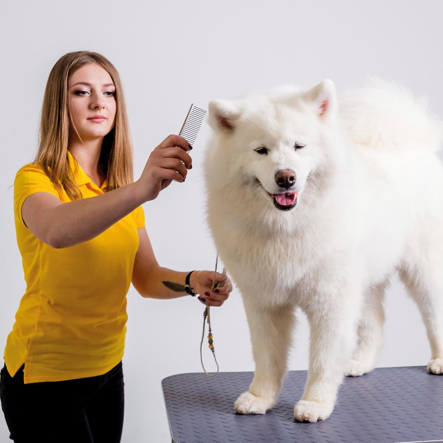 Wahl Pro Styling Comb for Dogs and Cats, 6-Inch Length image number 5