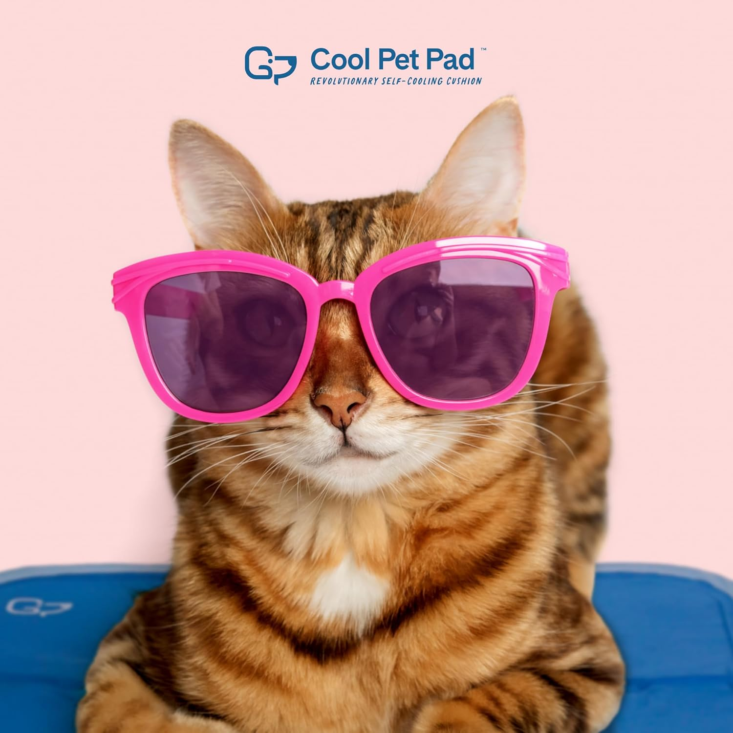 The Green Pet Shop Dog Cooling Mat, Medium - Pressure Activated Pet Cooling Mat for Dogs and Cats, Sized for Medium Sized Pets (21-45 Lb.) - Non-Toxic Gel, No Water Needed for This Dog Cooling Pad image number 4