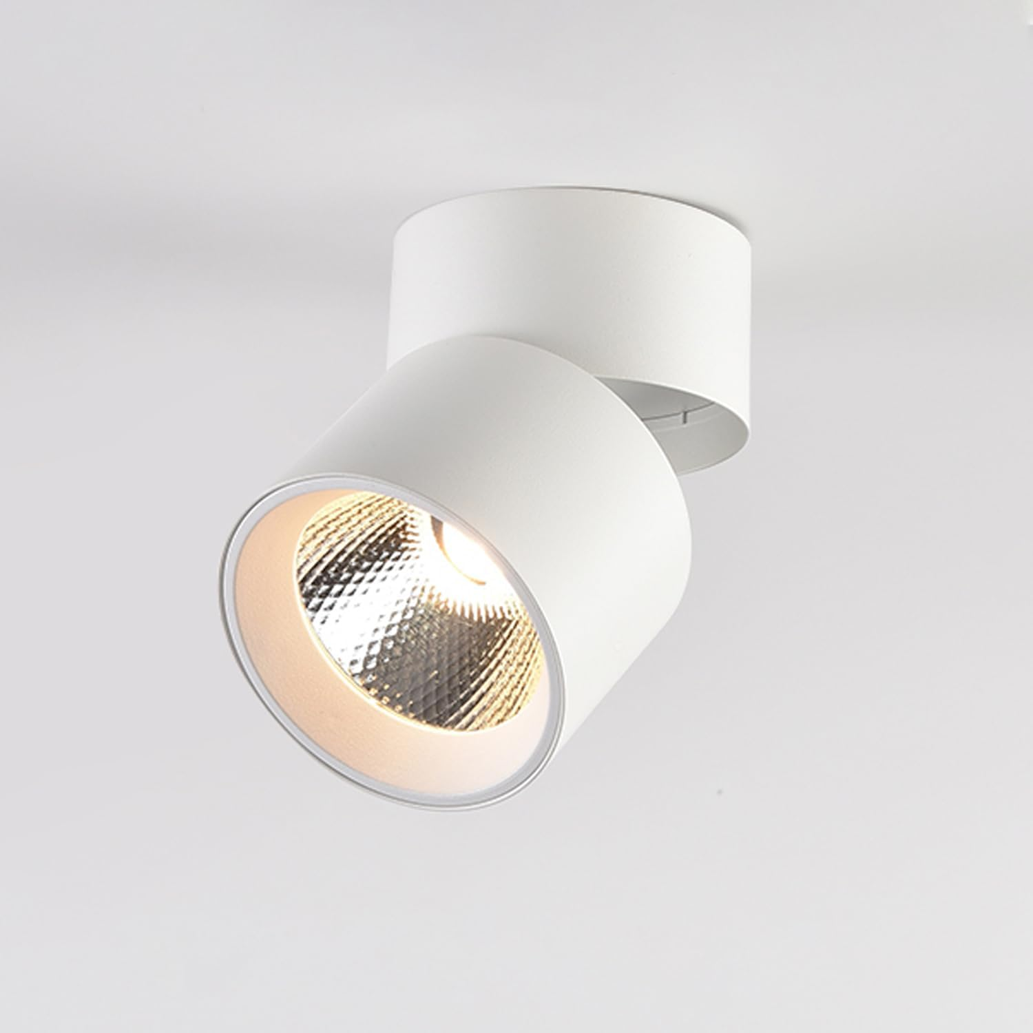 LED Flush Mount Ceiling Spot Light 10W 3000K Warm White Adjustable Tilt Angle Ceiling Light Fixture Indoor White Finish for Picture Art Wall Shop