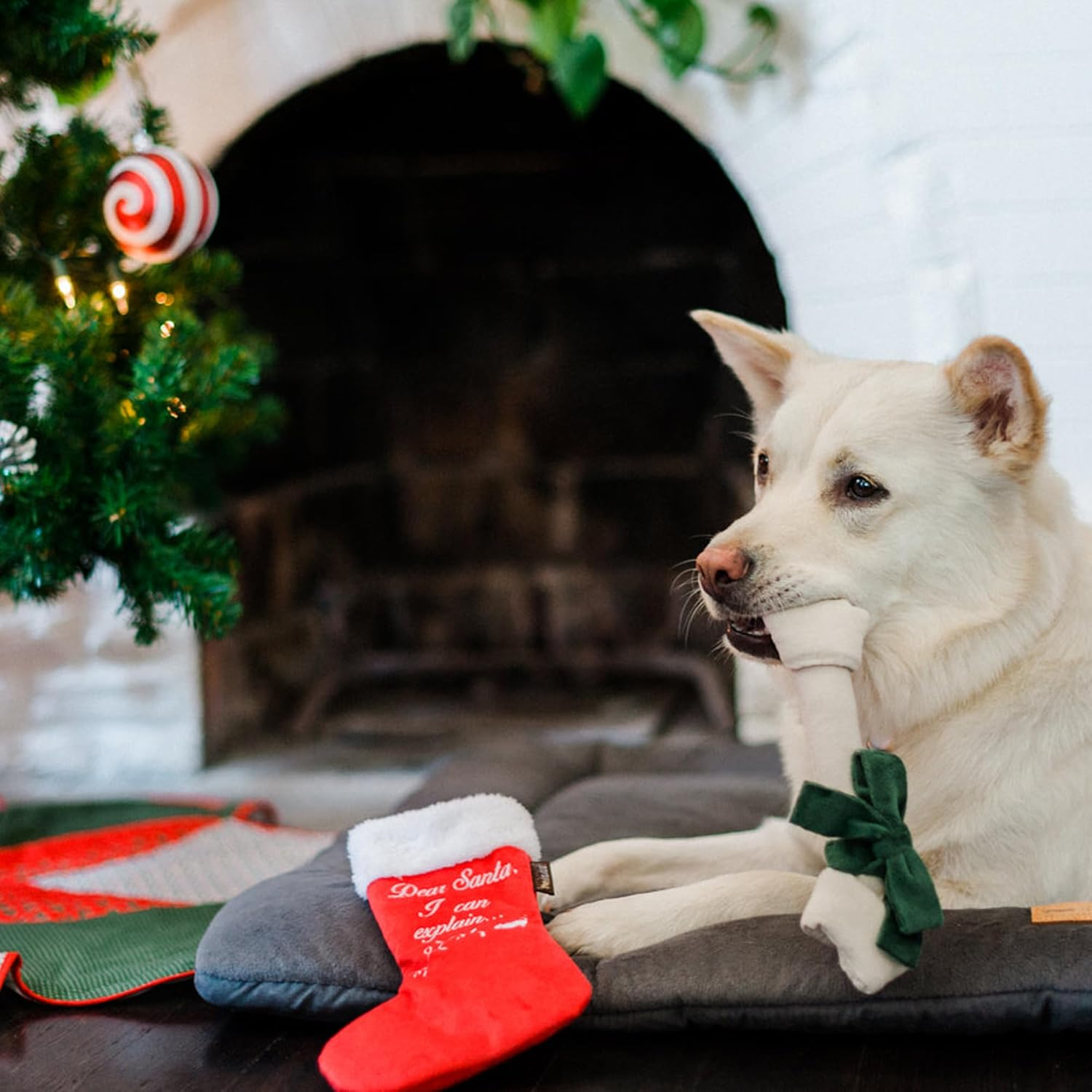 P.L.A.Y. PET LIFESTYLE and YOU - Plush Toy Dog - Merry Woofmas Collection - Good Dog Stocking