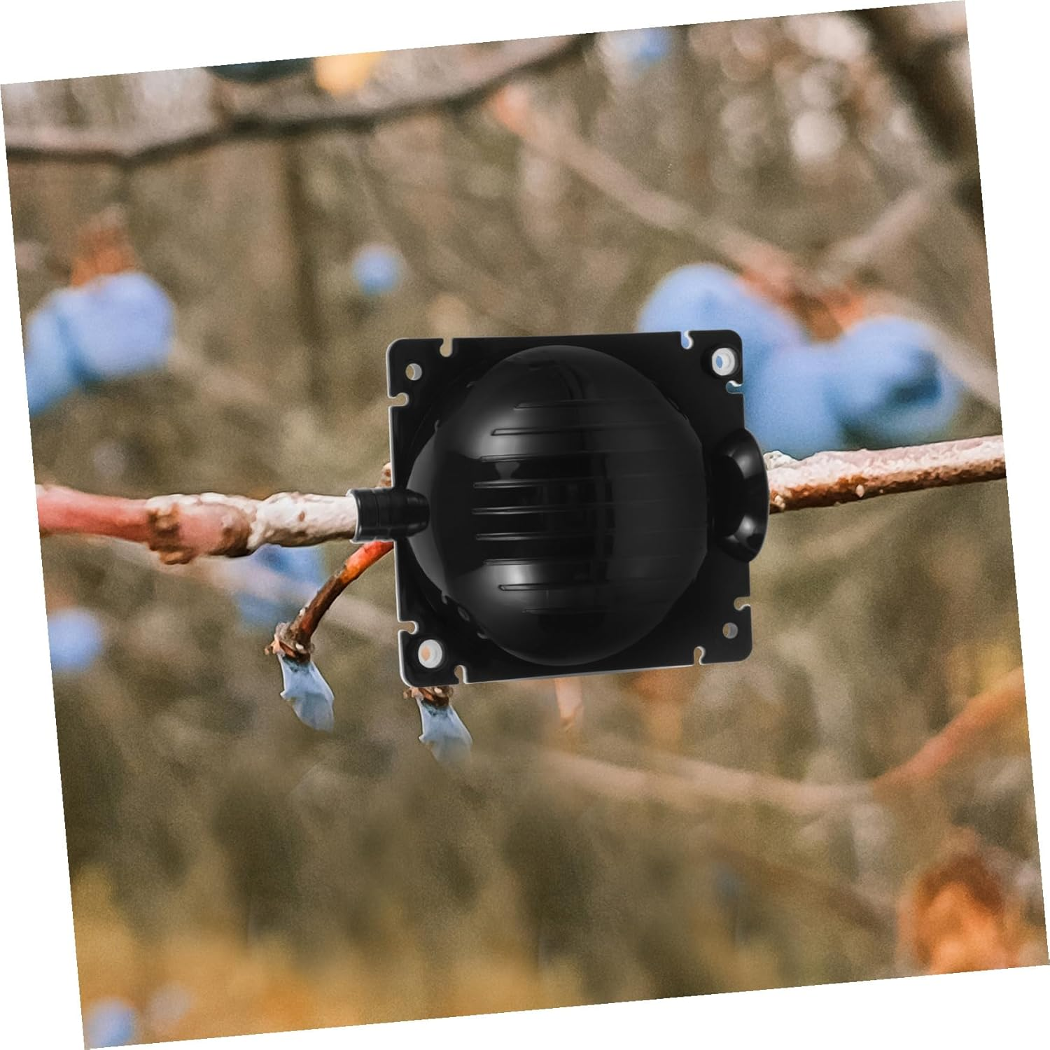 YARNOW 10Pcs Plastic Plant Rooting Boxes High Pressure Propagation Balls Grafting Root Growing Devices for Garden and Indoor Use Sturdy Structure image number 5