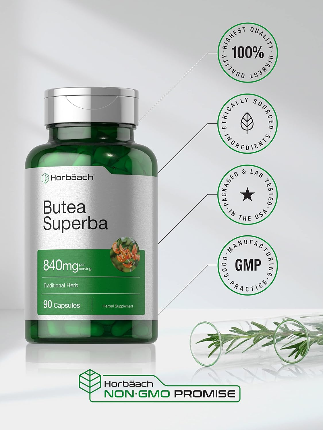 Butea Superba Root 840Mg | 90 Capsules | Male Performance Supplement | Non GMO, Gluten Free Supplement | by Horbaach image number 5