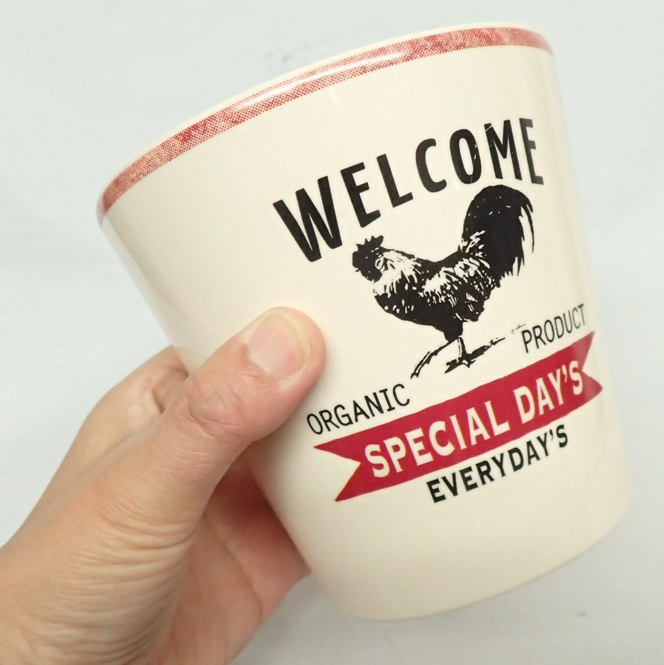 Maruwa Boeki 400840902 Biancot Planter, Chicken, No. 3.5 - Cow image number 6