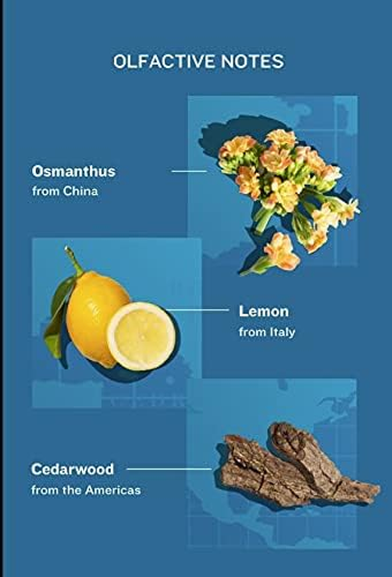 Atelier Cologne Love Osmanthus Unisex Cologne Absolue 100Ml image number 1