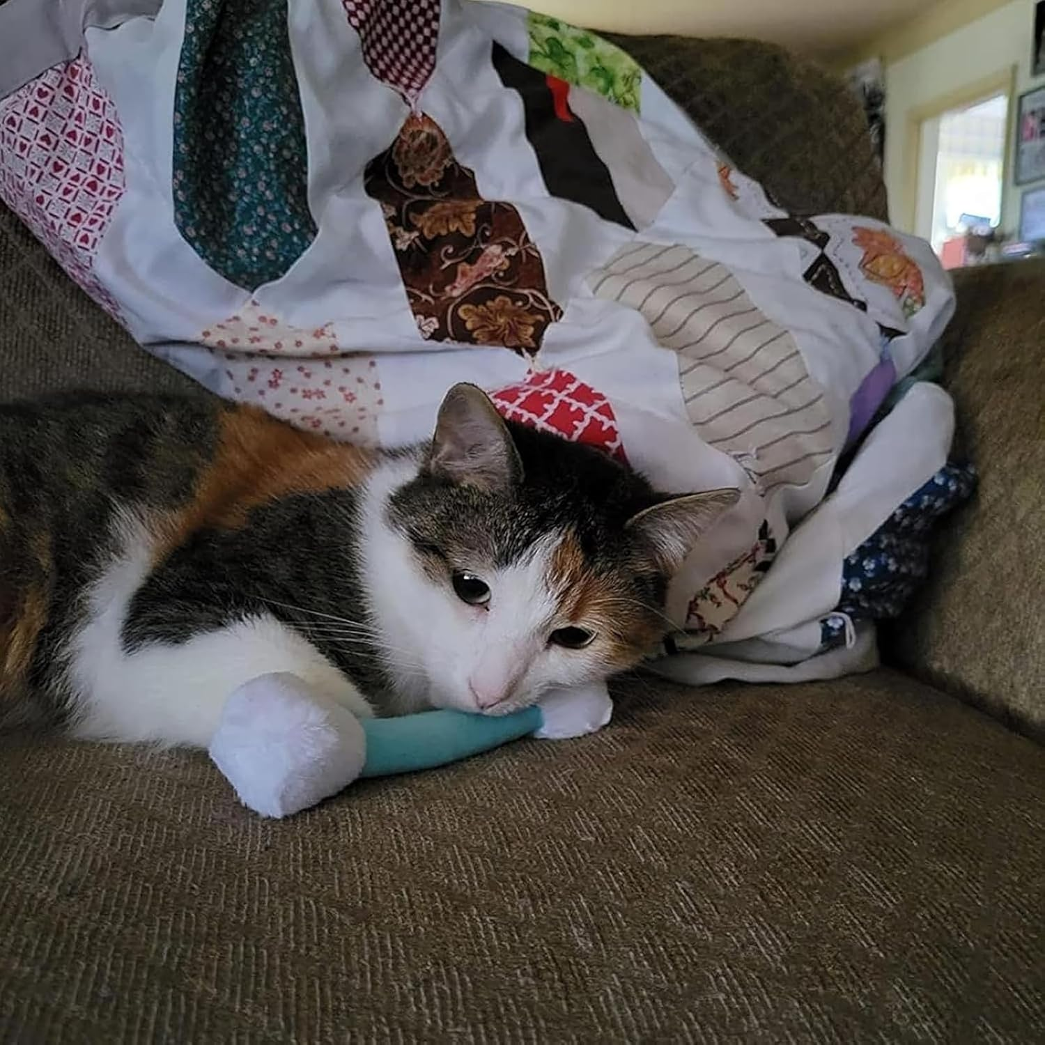 Q Tip Cat Toy, Qtip Cat Toy, Giant Swabs Catnip Toys Set, Interactive Kitty Kick Sticks for Cat Lovers Gift, of 6 Soft Plush Kicker Toys, Sturdy Teething Chew (3Pcs-A)