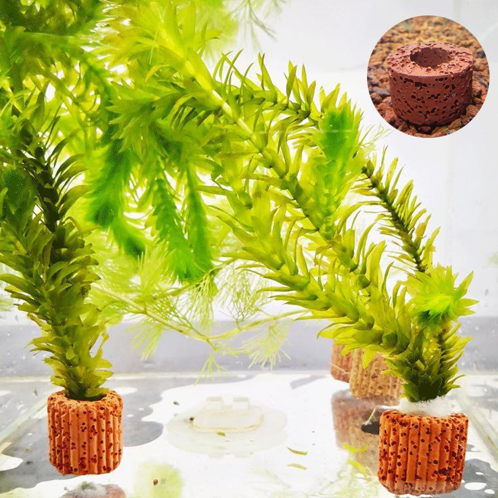 6 Pcs Aquatic Water Plant Fixed Rings, Aquarium Landscape Ceramic Pottery Plant Pot Gravity Ring for Fish Tank Accessories (Medium Sized)