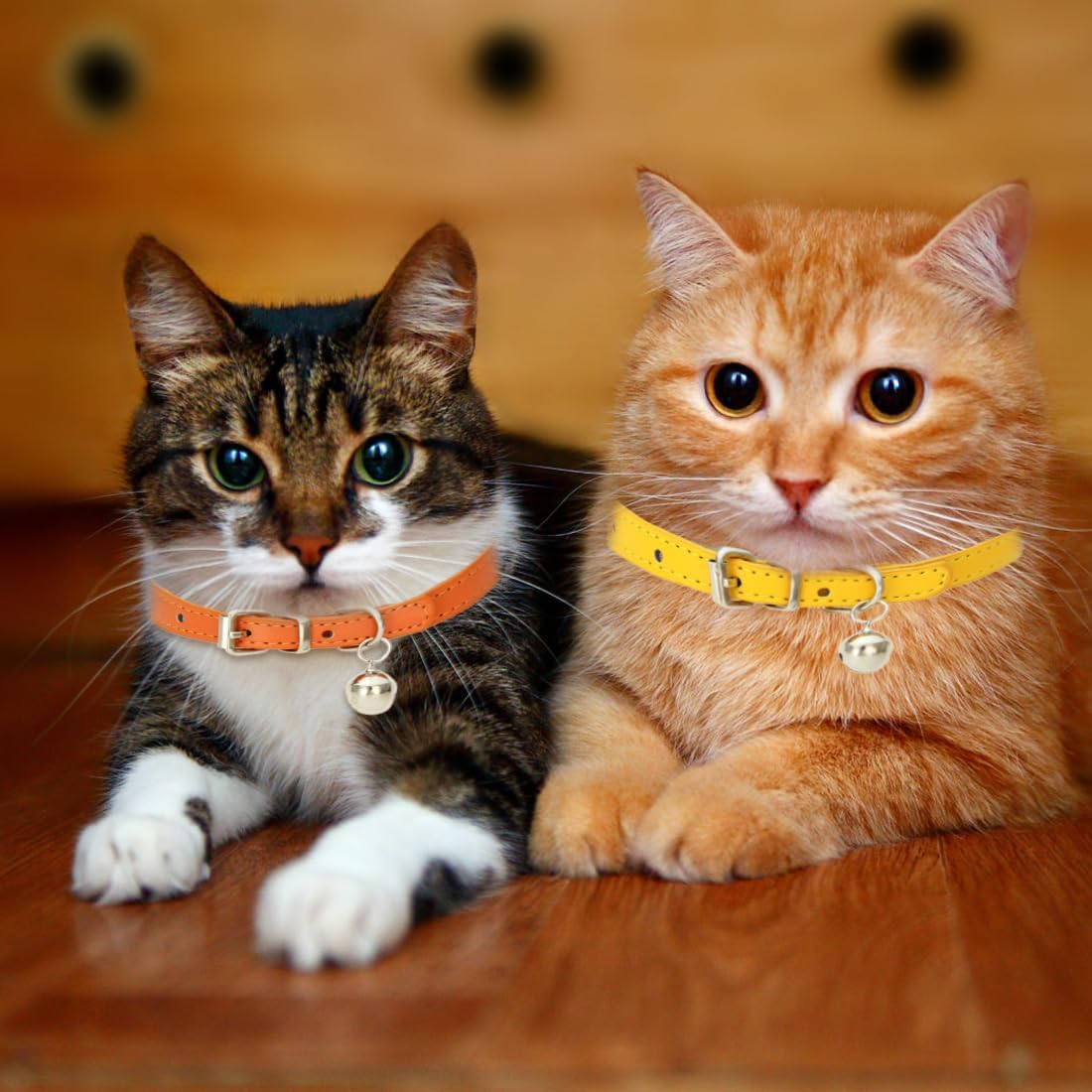 2 Pieces Padded Leather Dog Collar, Breathable, Durable Leather Dog Collar with Adjustable Rustproof Metal Buckle for Small, Leather, Simple, Robust image number 4