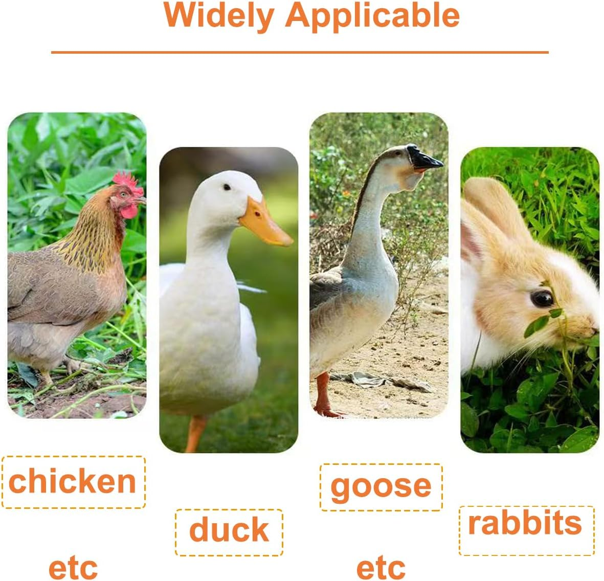 Automatic Chicken Feeder and Chicken Waterer Kit,1L Chick Feeder and 1.5L Chick Waterer,Chicken Water Dispenser,Chick Feeder and Waterer Kit,Easy Clean Plastic Feeding and Watering Feeder for Chicks image number 5