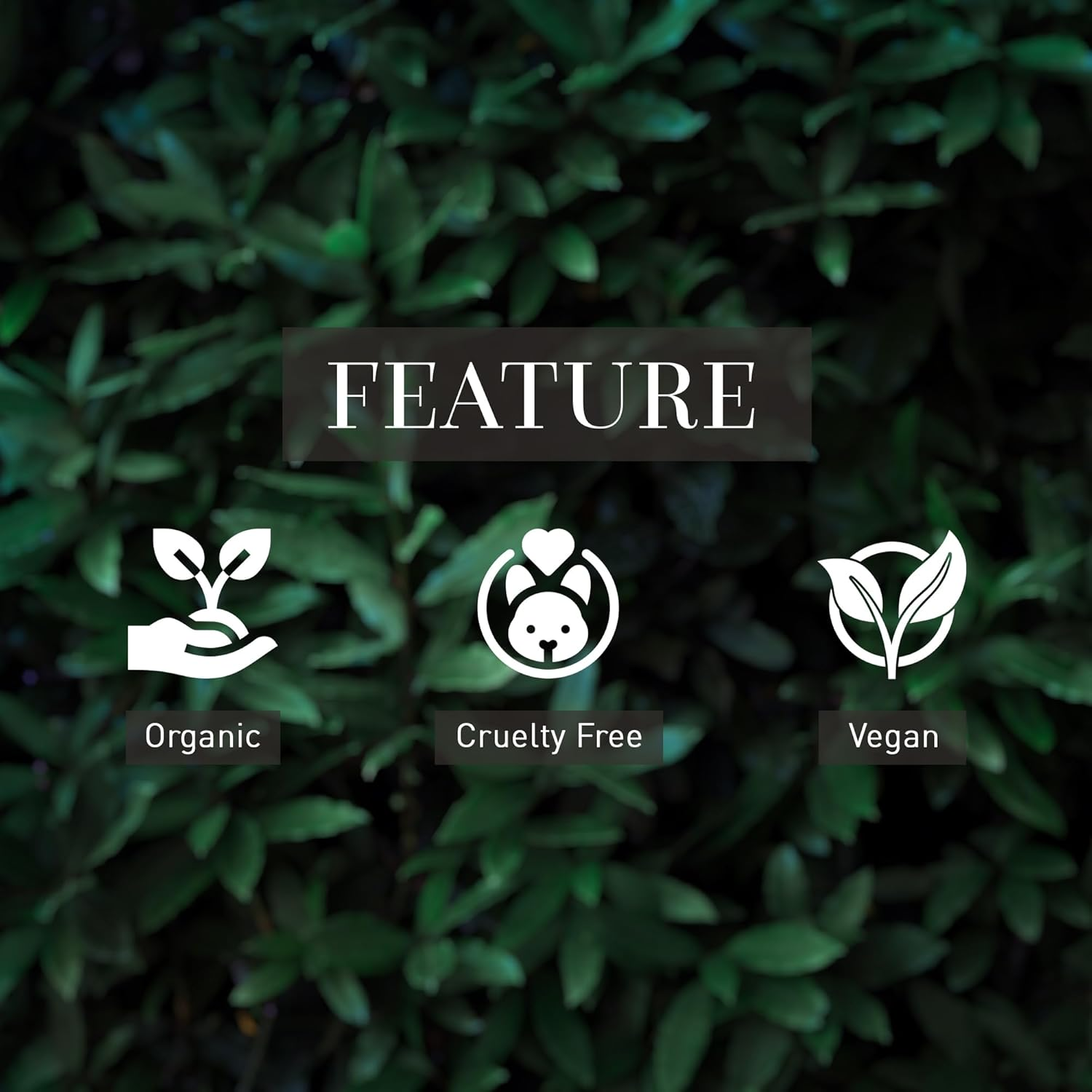 VEGETALEMENT ORGANIC Hair Mask, Plant-Based Hair Treatment Mask for Dry and Damaged Hairs, 200Ml, Cruelty Free with Jojoba Oil & Marula Oil for Strengthening and Repairing image number 4