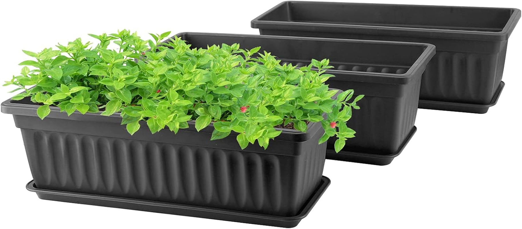 Black Rectangle Window Boxes, Greaner 3 Pack 12X3.8 Inch Herb Planters with Tray, Indoor Succulent Cactus Mint Plastic Pot for Windowsill, Garden Balcony, Office Outdoor Decoration