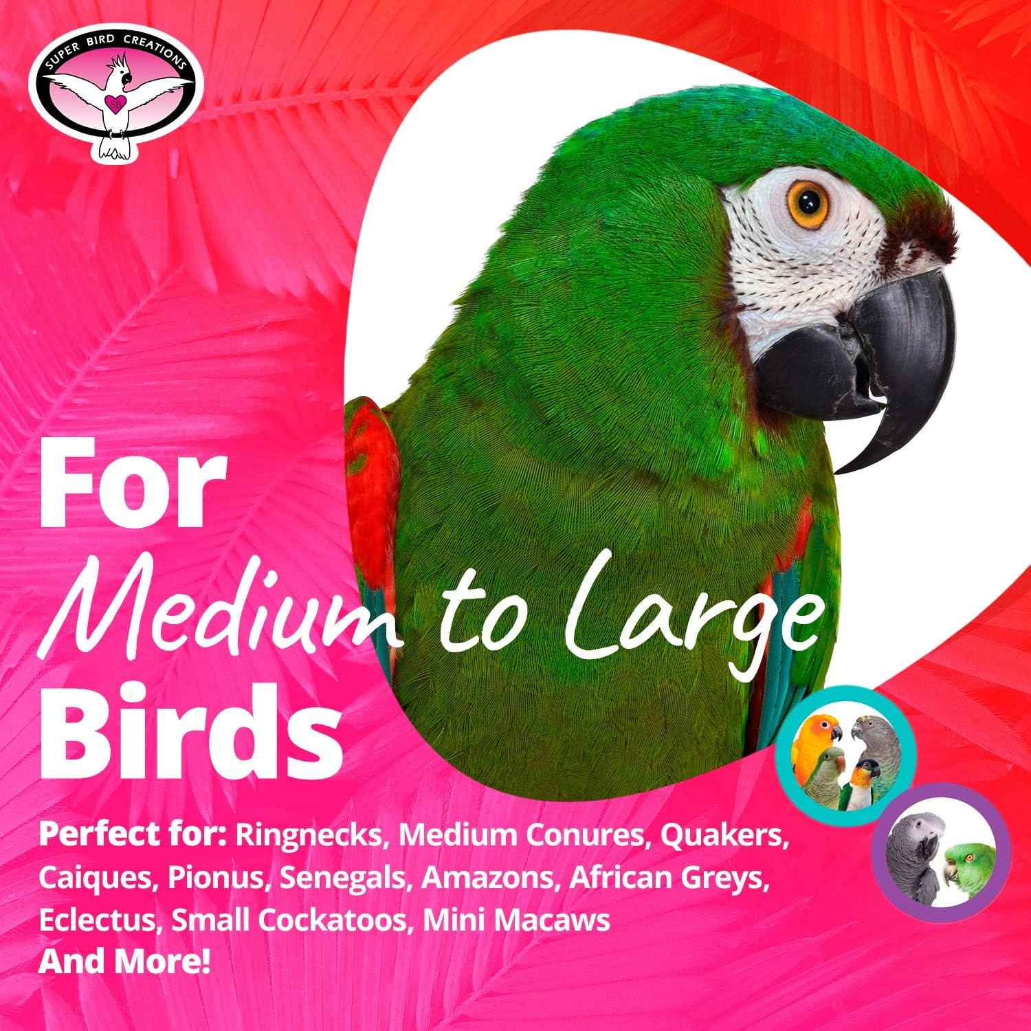 SUPERBIRD Bottom'S Up, 43X6.5Cm image number 6