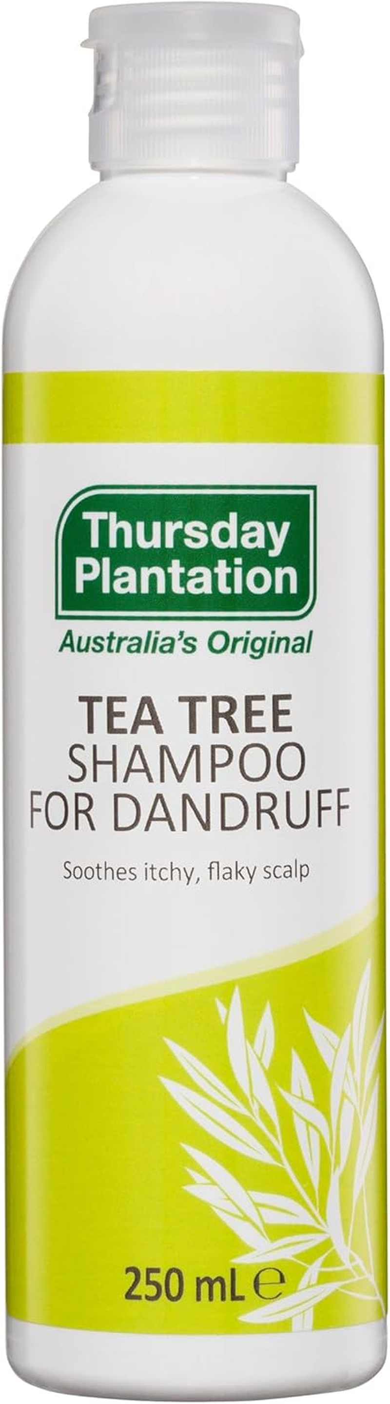 Thursday Plantation Tea Tree Shampoo for Dandruff Original 250Ml