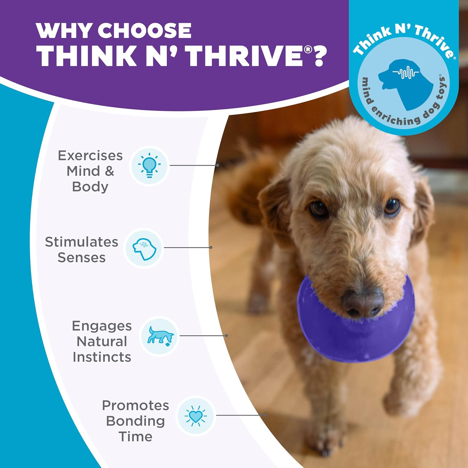 Outward Hound by Planet Dog Lil' Snoop Interactive Treat Dispensing Dog Toy, Small, Purple image number 1