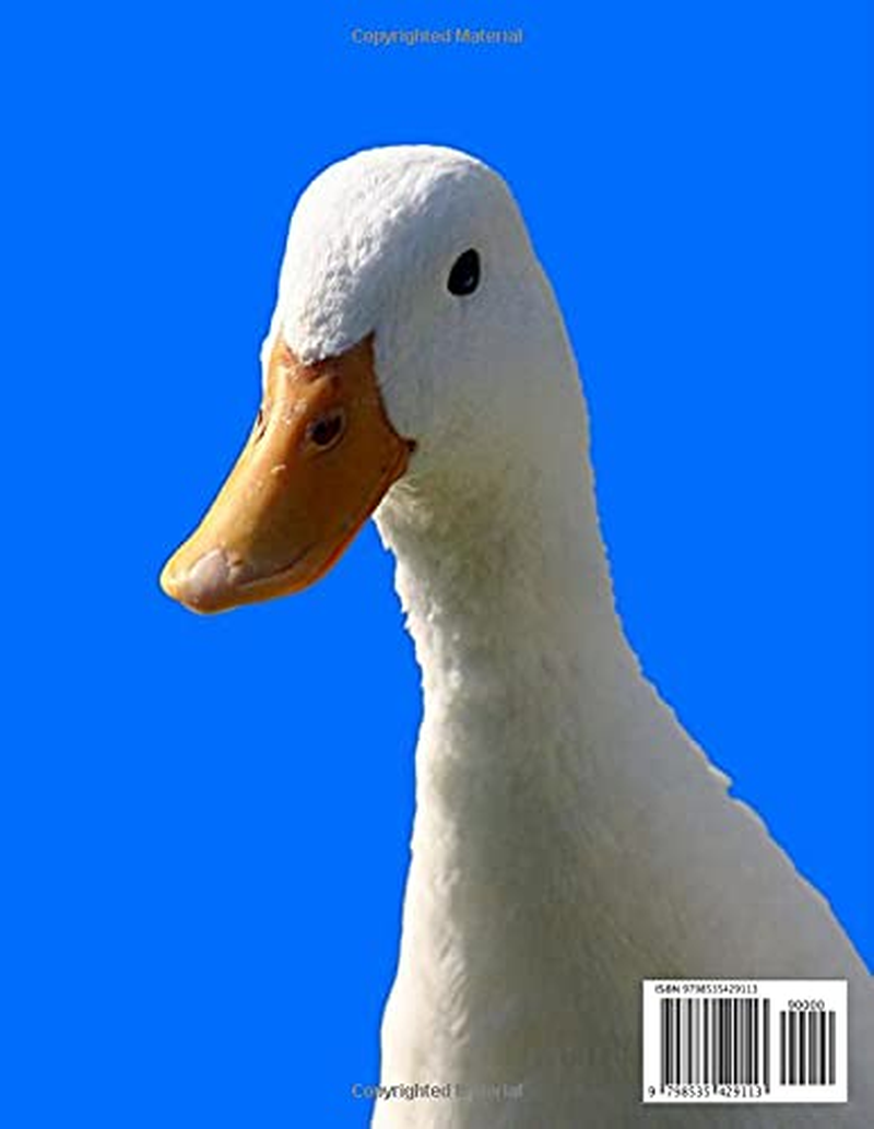 Duck Photo Book - a Ducks Picture Book - Amazing Big Collection: 100+ Amazing Pictures of Ducks in This Beautiful Duck Photo Book