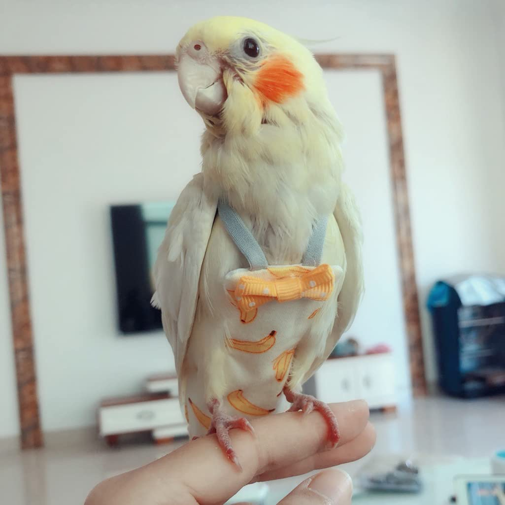 N 6 Pieces Bird Diapers, Washable Reusable Parrots Nappy with Waterproof Inner Layer Soft Small Pet Birds Flight Suit for Budgie Parakeet Cockatiel