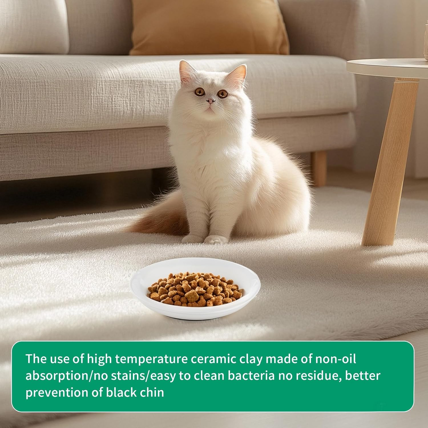 6 Cat Feeding Bowls, Ceramic Rubber Base Non-Slip Diameter 15Cm, Pet Cat and Puppy Bowls