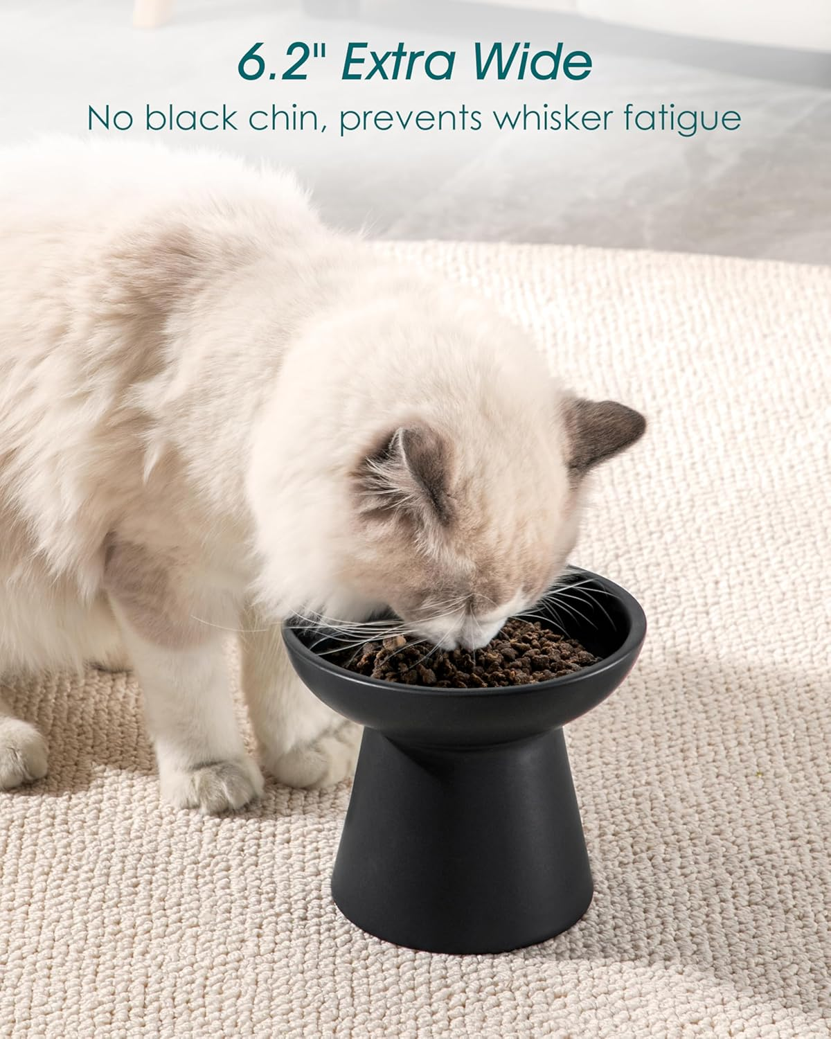 Vancasso Ceramic Elevated Cat Bowls 2-Pack - 6.2" Extra Wide Raised Cat Food & Water Dishes, 5.1" Optimal Height Anti-Whisker Fatigue Shallow Bowls for Cats/Kittens/Dogs, Lead & Cadmium Free (Black) image number 4