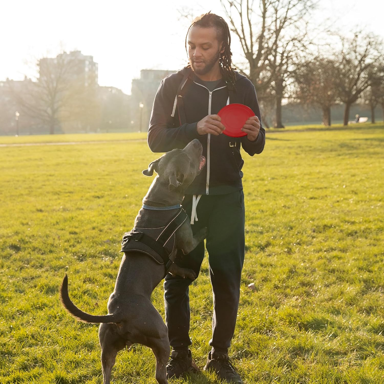 React Faster Training Interactive Toys, 2 PCS Dog Flying Discs for Small, Medium Puppies (17.8Cm/7In) image number 1