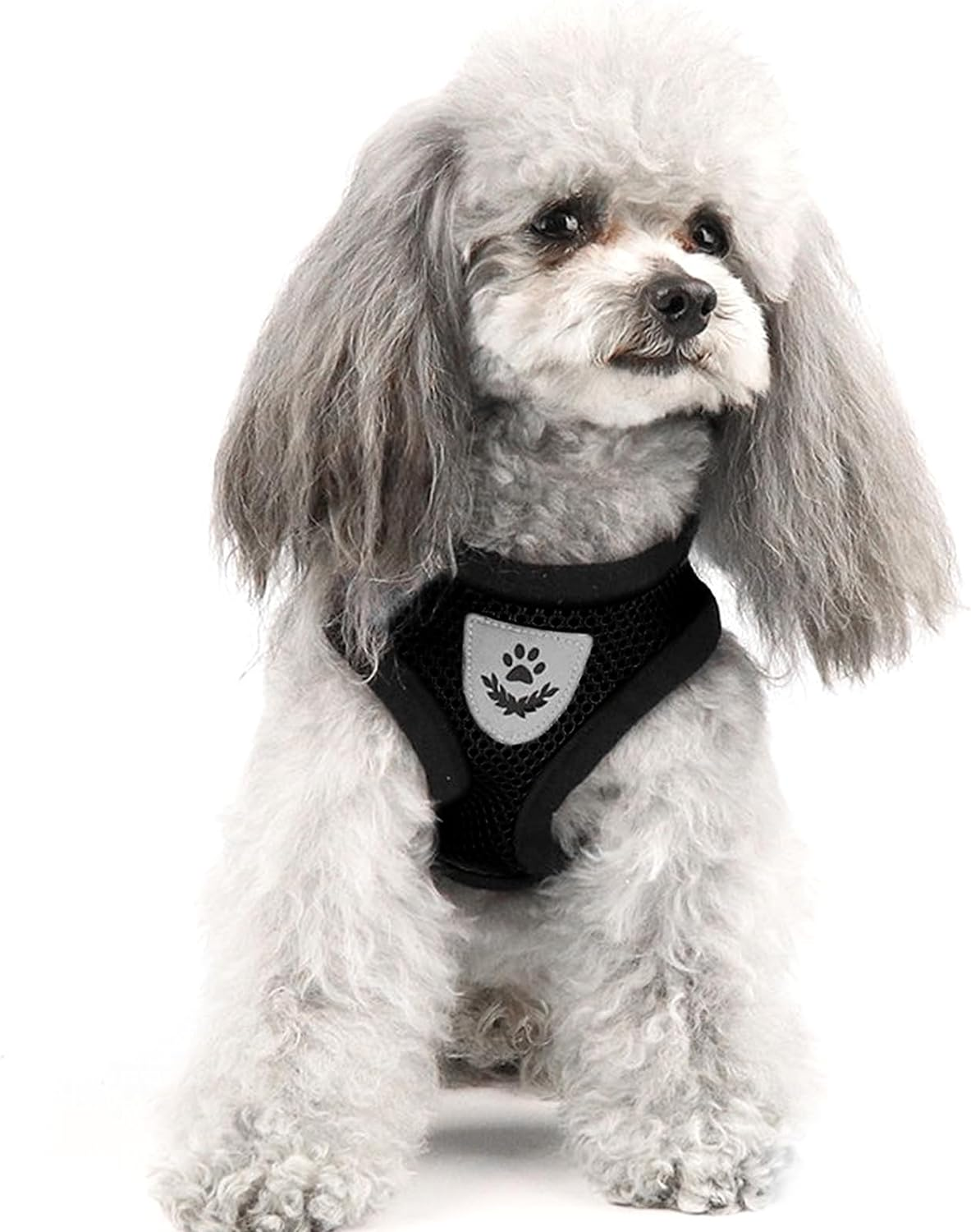 Shudyear Summer Cat Chest Harness and Leash, Anti-Escape Adjustable Soft Mesh Cat Leash and Chest Harness Set for All Types of Cats Cat Vests (Size L,Black) image number 2