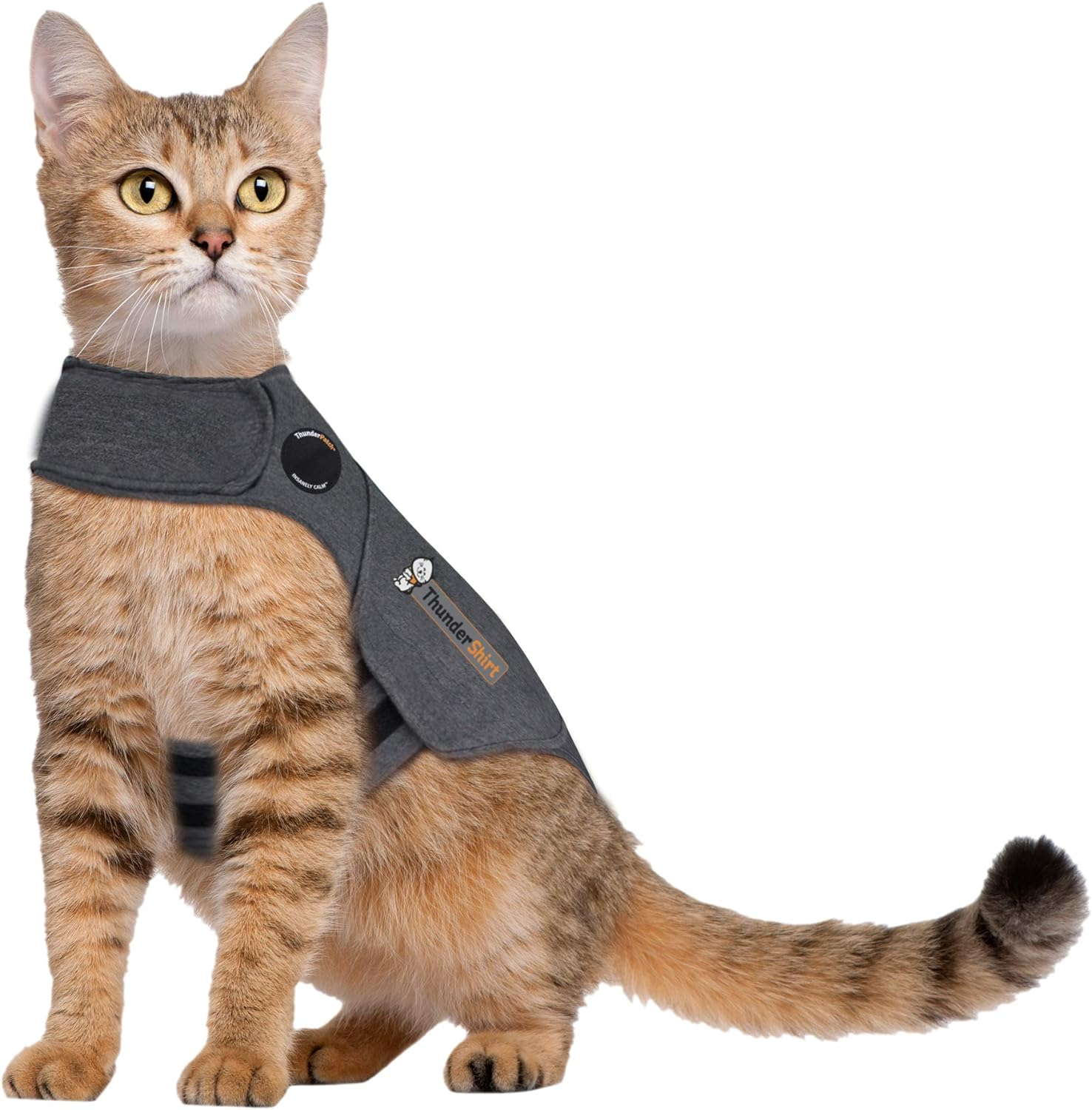 Thundershirts Cat Calming and Anxiety Jacket, Medium 13"-17", Heather Grey image number 3